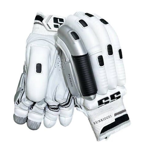 ss-player-edition-cricket-