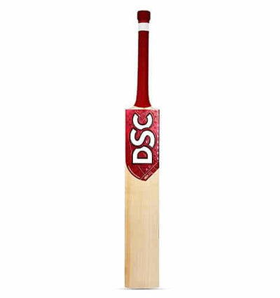 DSC IBIS 222 English Willow Cricket Bat - Global Sport Studio