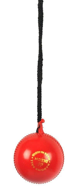 sg-iball-with-cord-